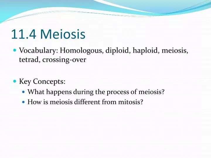 ppt 11 4 meiosis powerpoint presentation id 2031722 meiosis powerpoint