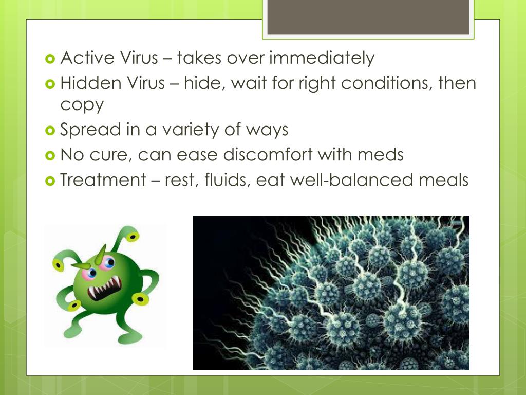 Bacteria and viruses powerpoint
