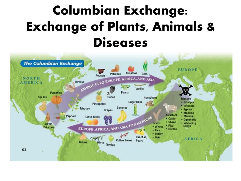 How Did The Columbian Exchange Affect Society