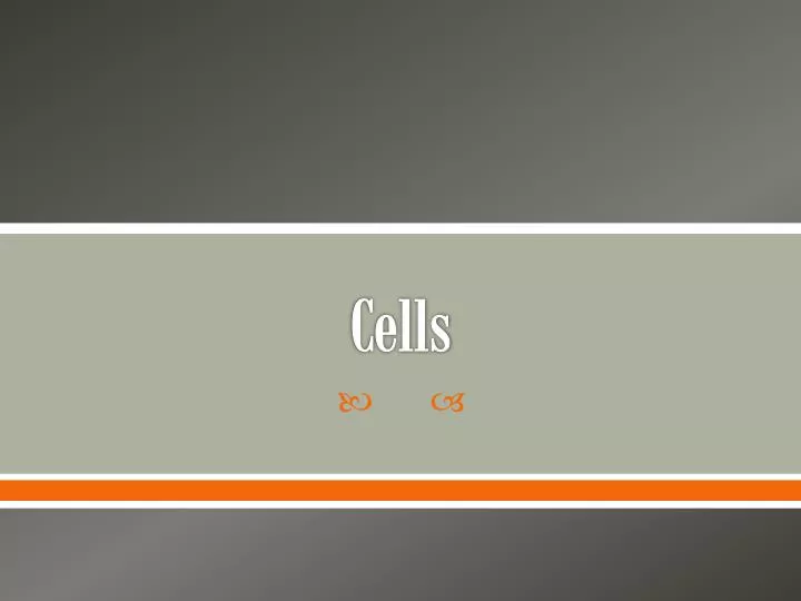 cells n.