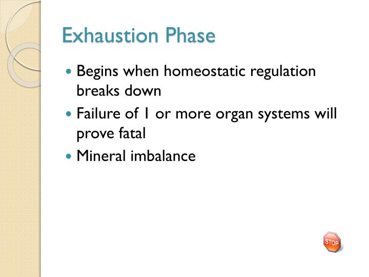 PPT Chapter 18 The Endocrine System PowerPoint Presentation ID2033158