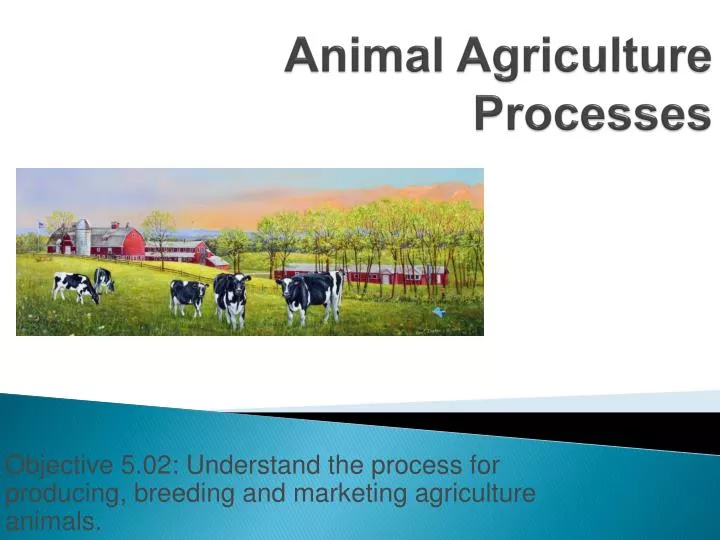 PPT - Animal Agriculture Processes PowerPoint Presentation, free download -  ID:2033549