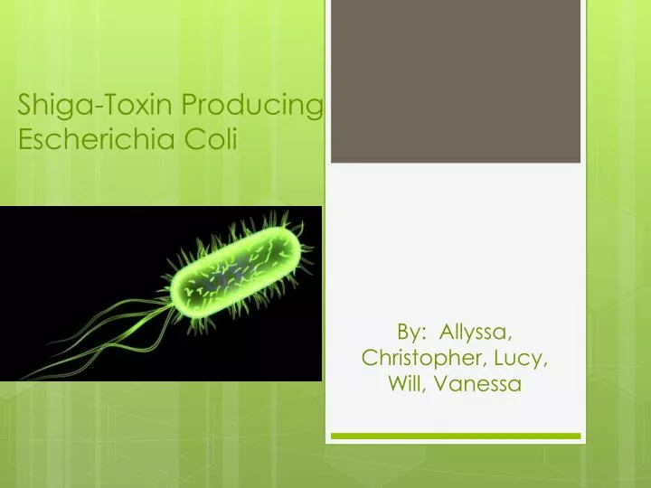 shiga toxin producing e coli o26 What is stec some kinds of e coli cause disease by making poison called a shiga toxin the bacteria that make these toxins are called “shiga toxin-producing” e coli or stec for short. shiga toxin producing e coli o26 What is stec some kinds of e coli cause disease by making poison called a shiga toxin the bacteria that make these toxins are called “shiga toxin-producing” e coli or stec for short.