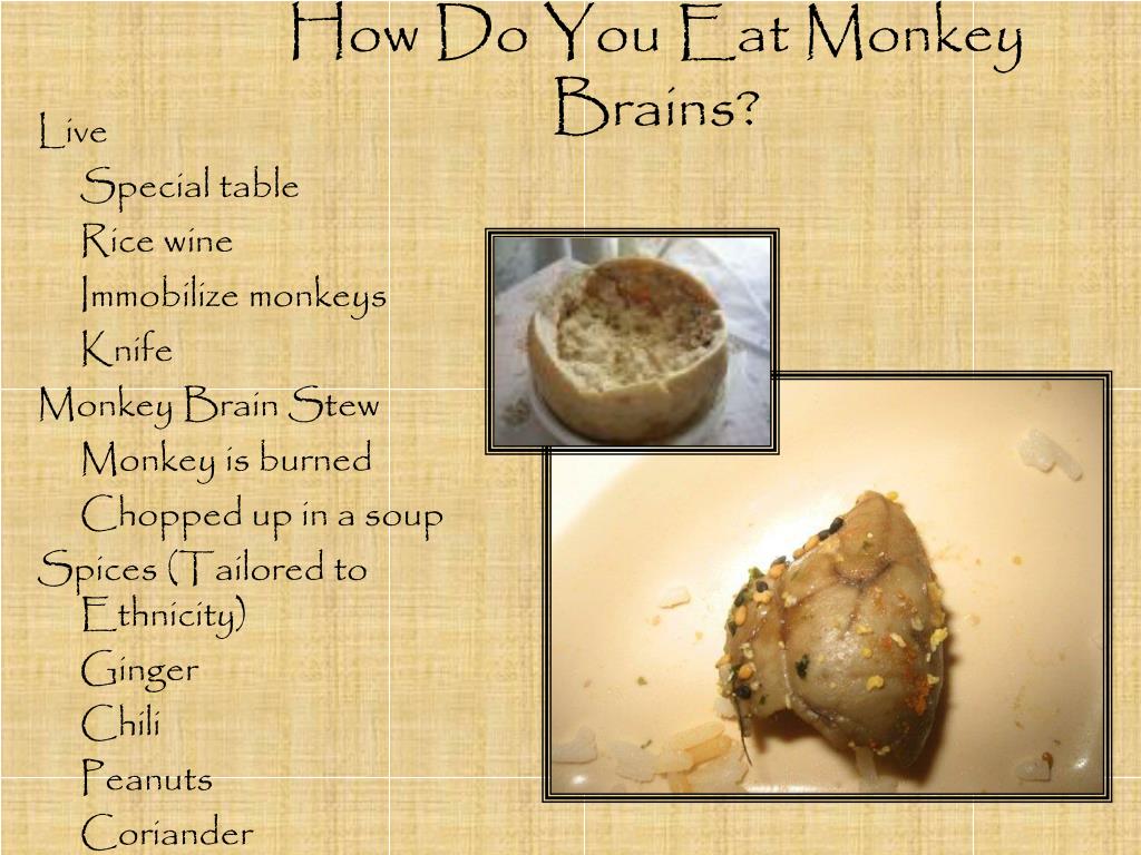Eat brain. Манки Брейнс. Мозг обезьяны деликатес.