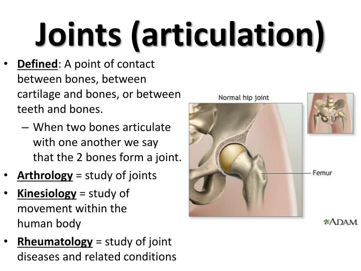 a joint presentation meaning