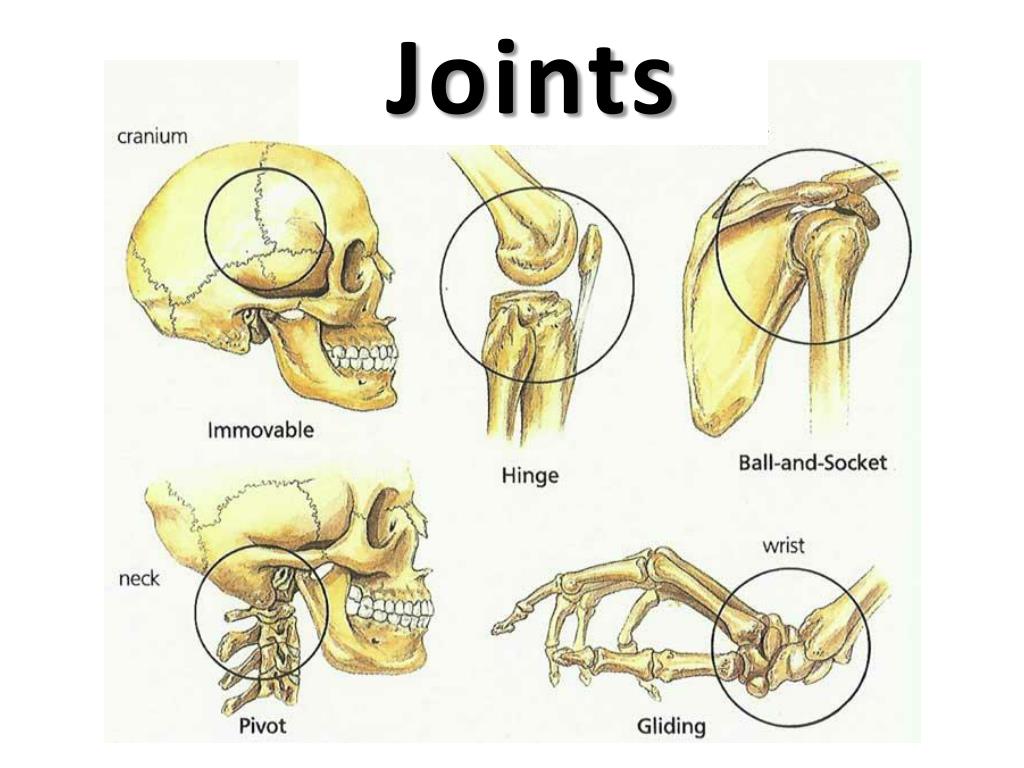 a joint presentation