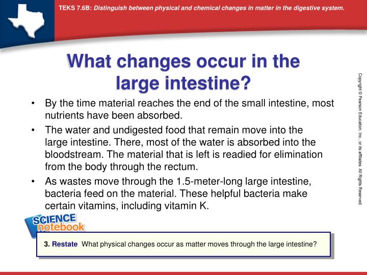 through or chemically to a materials changed physically 1. product are produce What is system? digestive PPT the PowerPoint through or chemically to a materials changed physically 1. product are produce What is system? digestive PPT the PowerPoint