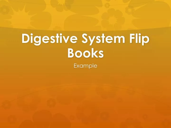 digestive system flip books n.
