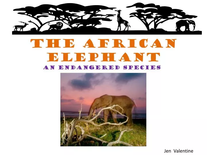 PPT The African Elephant PowerPoint Presentation Free Download ID 
