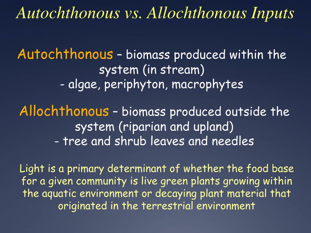 Algae - New World Encyclopedia Algae - New World Encyclopedia