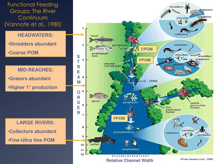 PPT - Biology & Ecology of SE MN Karst Region Streams ... PPT - Biology & Ecology of SE MN Karst Region Streams ...