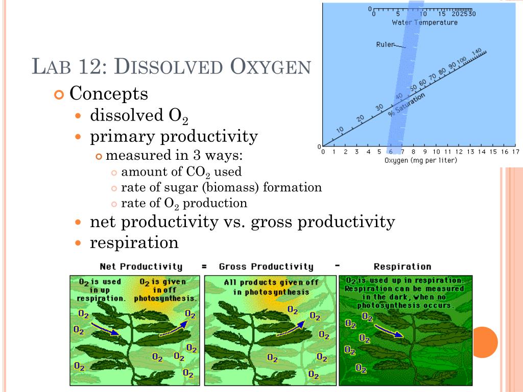 Dna replication frq picture