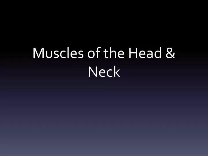 muscles of the head neck n.