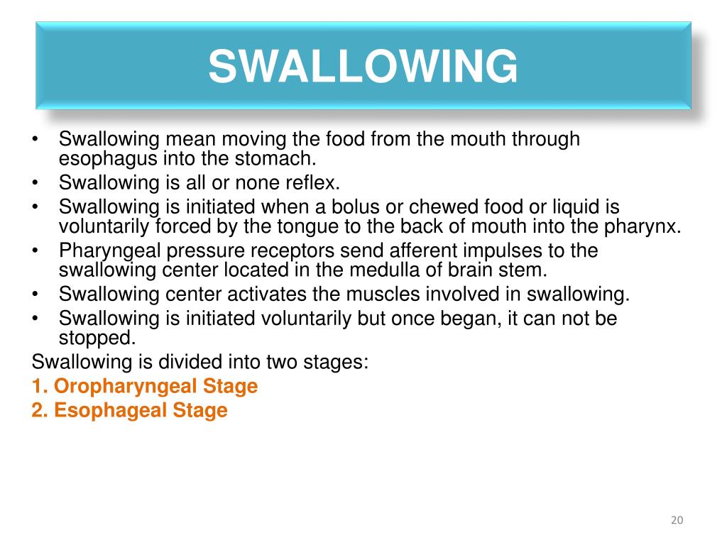Physiology of the Digestive System PowerPoint Presentation, free ... Biology Diagrams