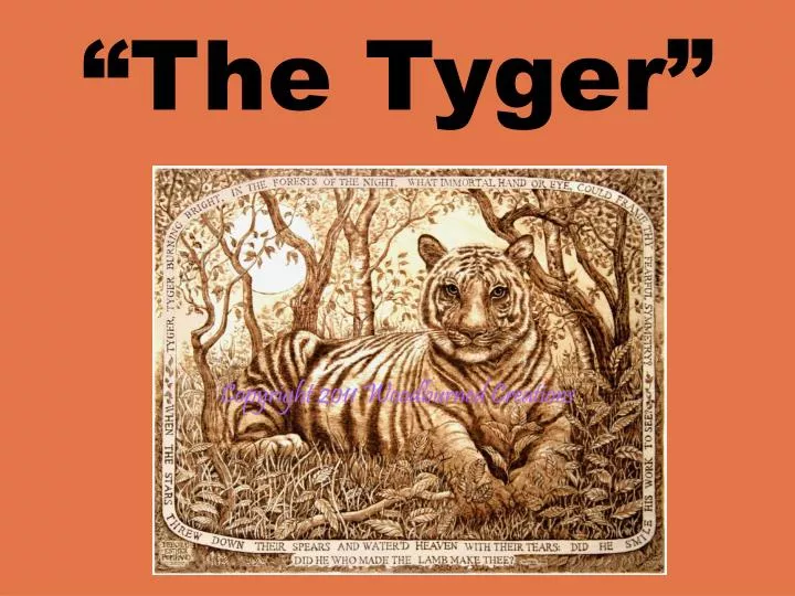 The Tyger by Tegan Moore The Tyger by Tegan Moore