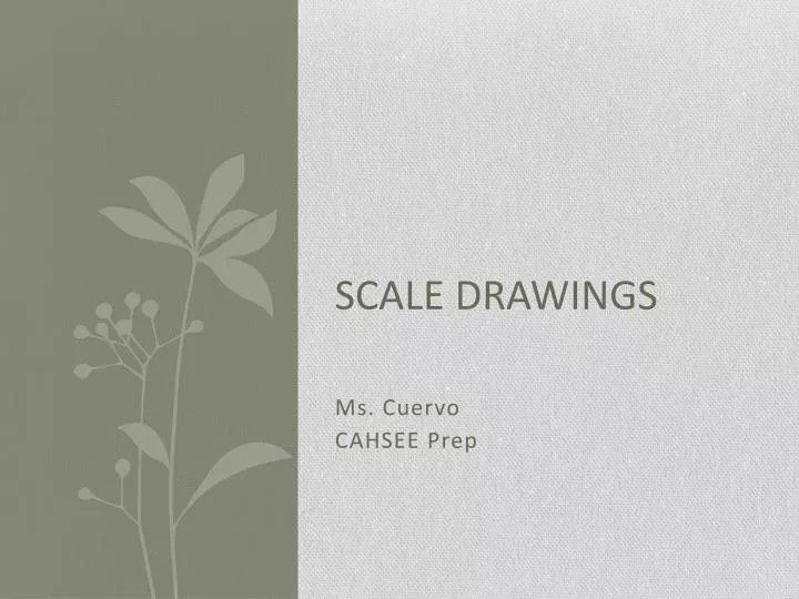 scale drawings n.