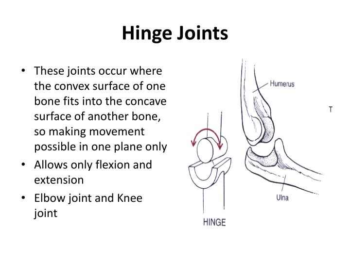 PPT Joints or Articulations PowerPoint Presentation ID2038133