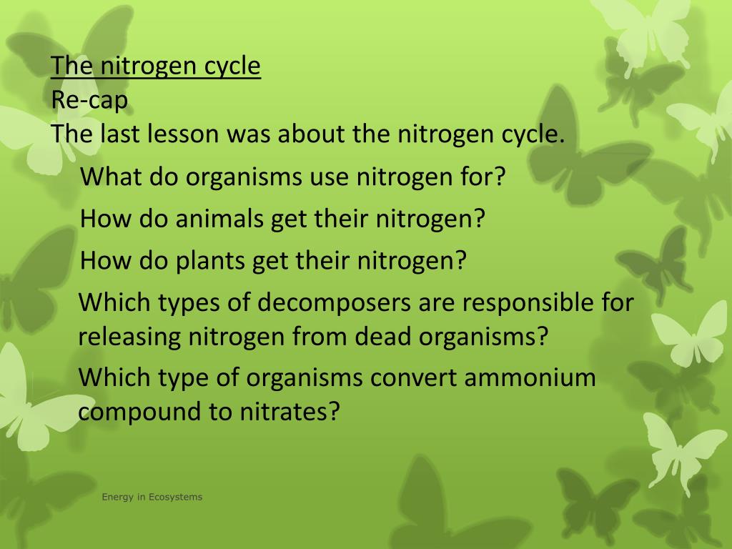 PPT - Human influence on the nitrogen cycle PowerPoint Presentation, free download - ID:2038308 PPT - Human influence on the nitrogen cycle PowerPoint Presentation, free download - ID:2038308
