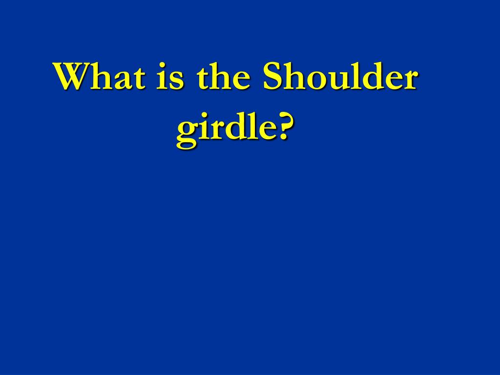 PPT - What is the Shoulder girdle? PowerPoint Presentation, free