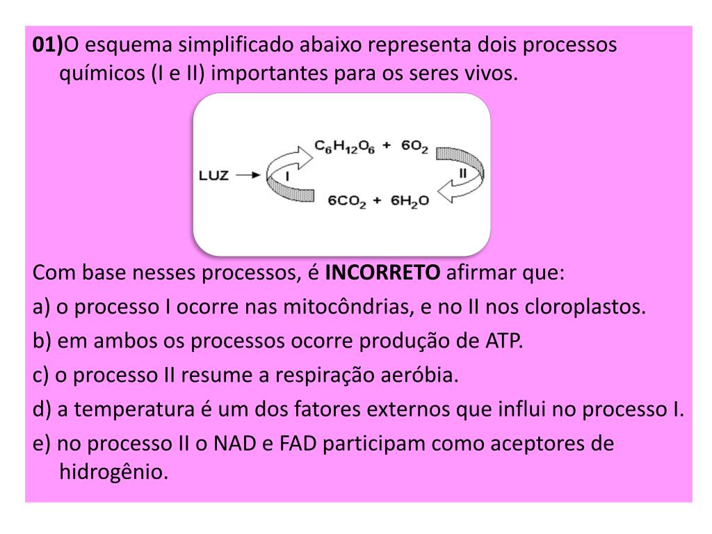 PPT - RESPIRAÇÃO CELULAR GLICÓLISE – ocorre no citosol / hialoplasma ...