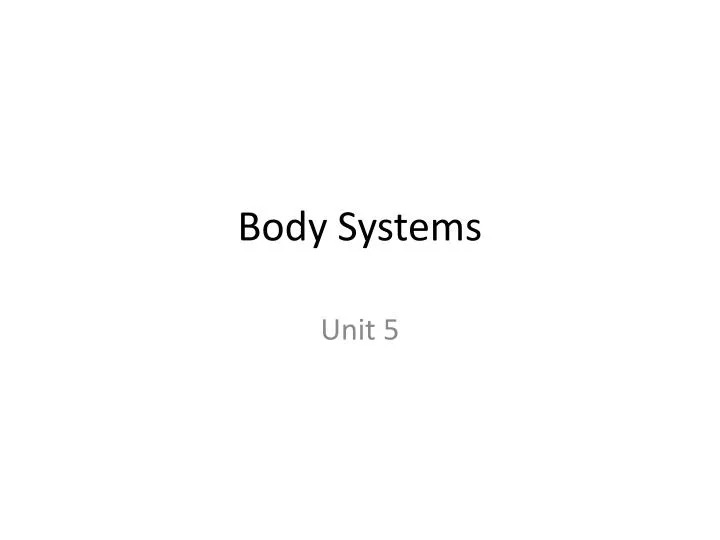 body systems n.