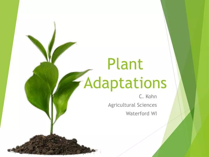 ppt-plant-adaptations-powerpoint-presentation-free-download-id-2041741