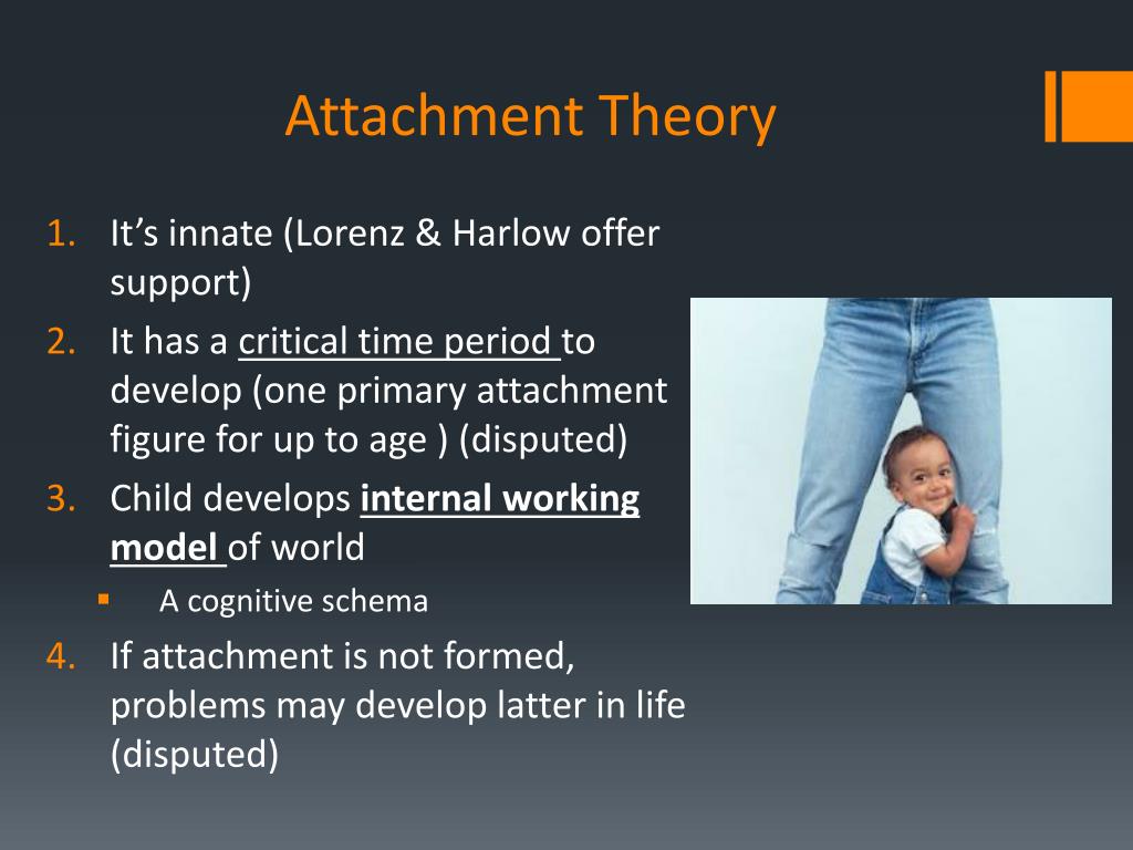 powerpoint presentation on attachment theory