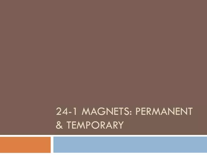 24 1 magnets permanent temporary n.