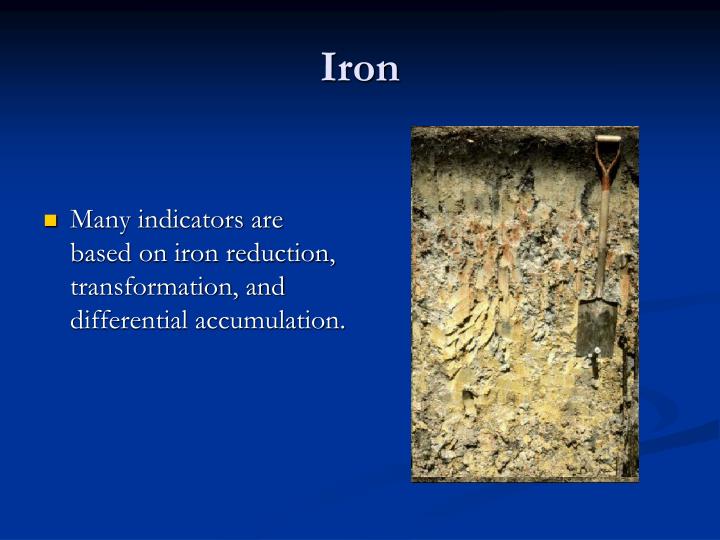 PPT - Field Indicators of Hydric Soils in the United States PowerPoint ...