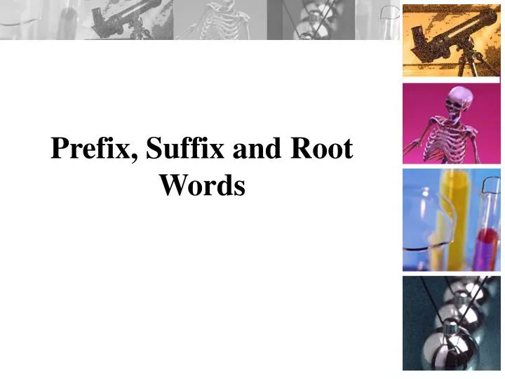 ppt-prefix-suffix-and-root-words-powerpoint-presentation-free