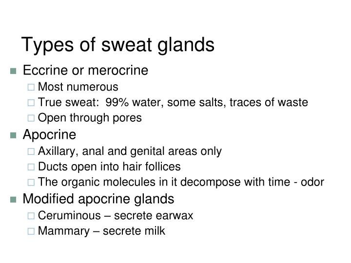 types of sweat