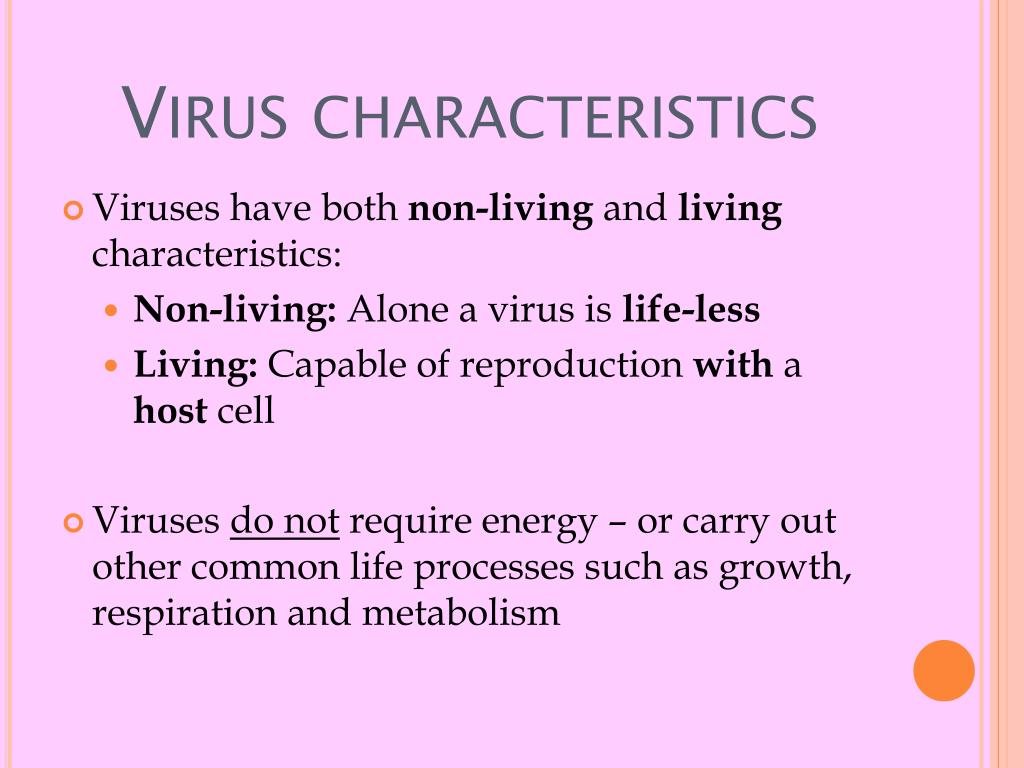 Characteristics about Viruses