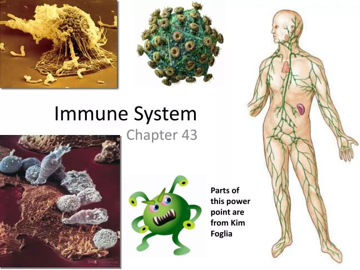 cancer and the immune system essay cancer and the immune system essay