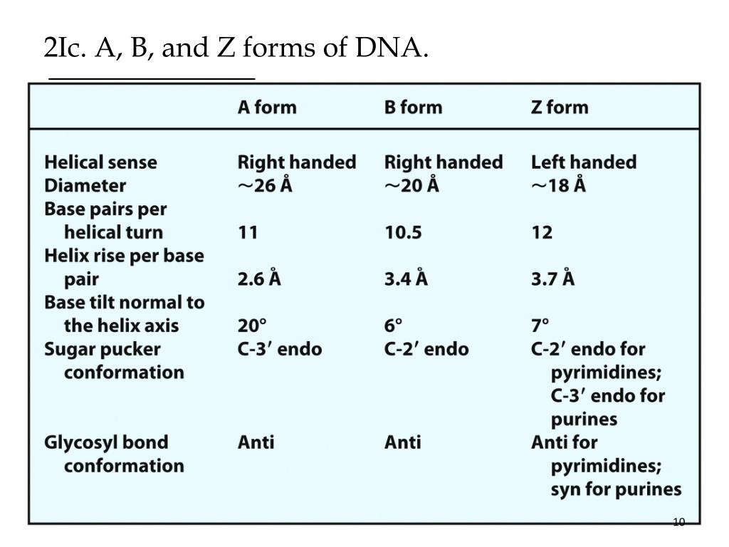 a form b form z form