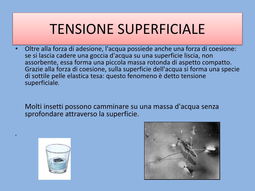 PPT L ACQUA PowerPoint Presentation Free Download ID 2045292 PPT L ACQUA PowerPoint Presentation Free Download ID 2045292