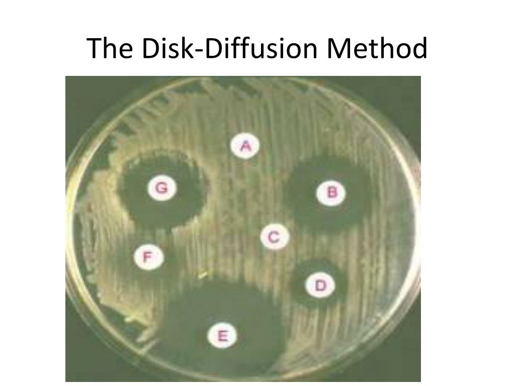 PPT MICROBIOLOGY ALCAMO PowerPoint Presentation, free download ID2045555