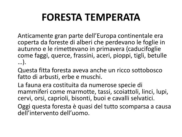 La Tipica Foresta Di Conifere A Sud Della Tundra