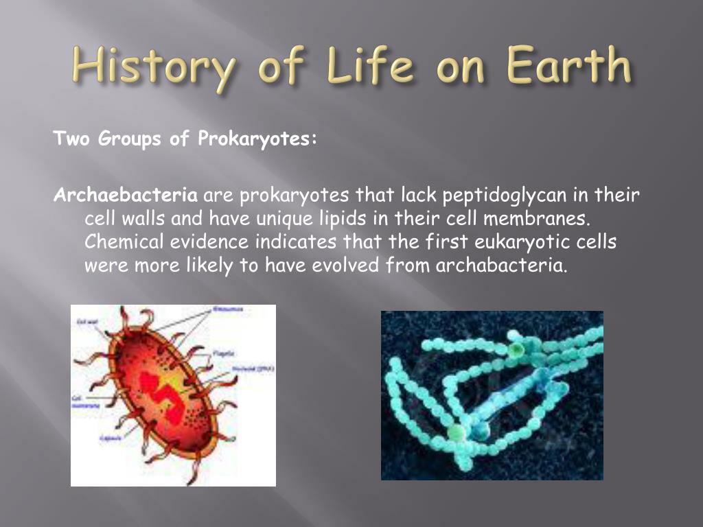 first photox bacteria evolved 3.6 bya billion years ago