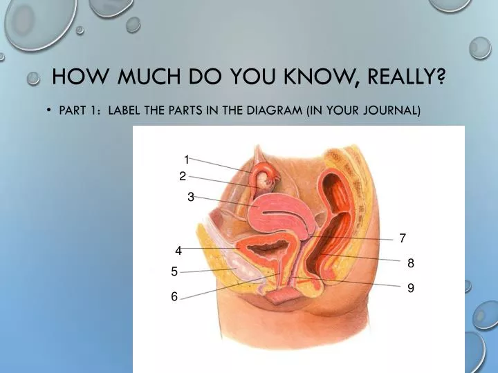 how much do you know really n.