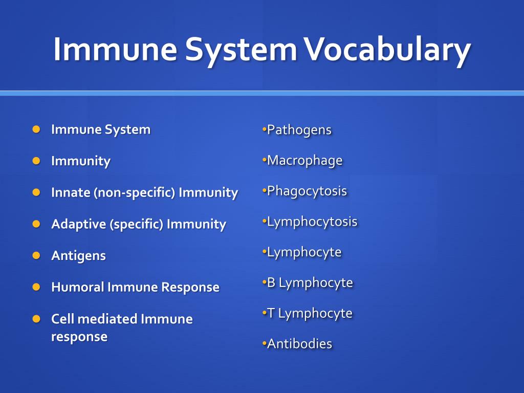 ppt-the-immune-system-powerpoint-presentation-free-download-id-2046523