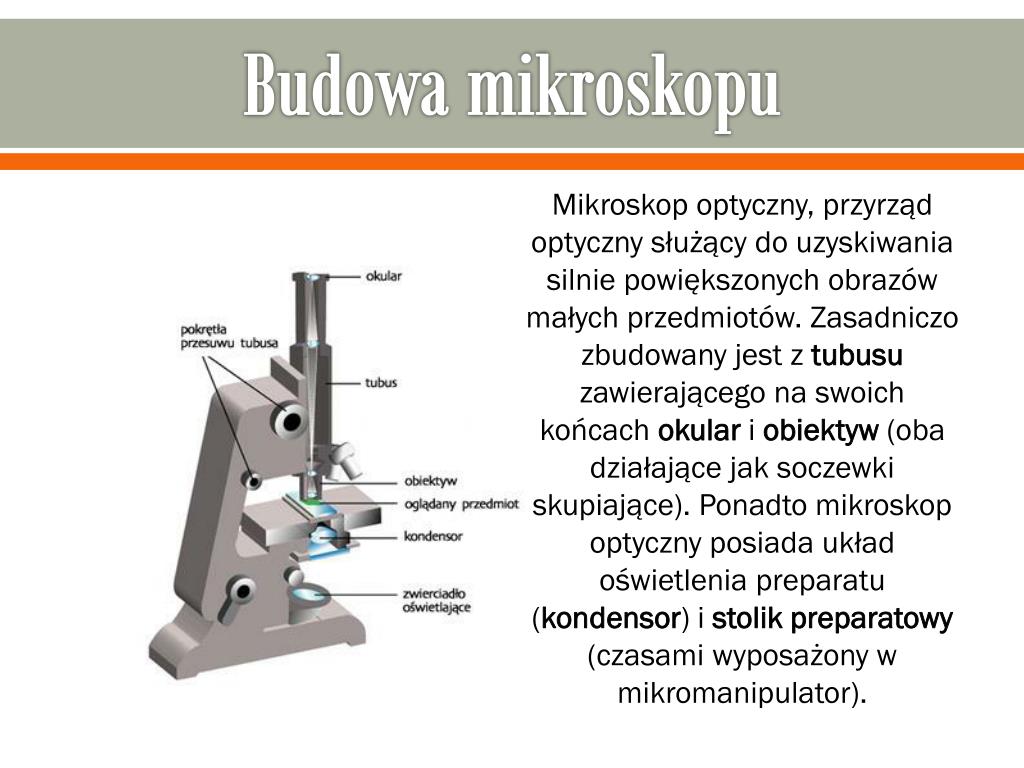 Функция револьвера в микроскопе. Микроскоп детали револьвер функция. Какая функция у револьвера в микроскопе. Функция револьвера в микроскопе кратко.