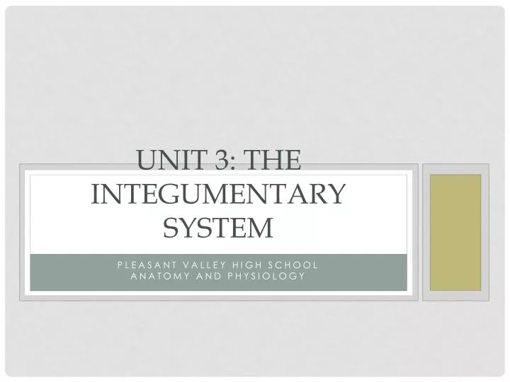 unit 3 the integumentary system n.