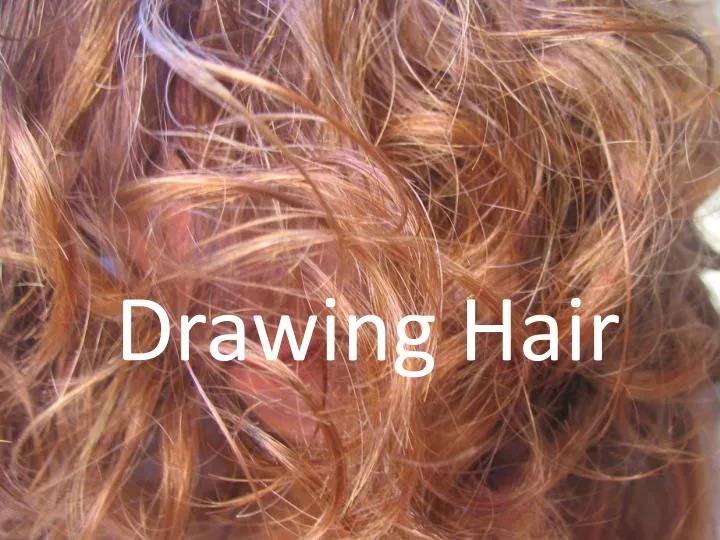 PPT - Drawing Hair PowerPoint Presentation, free download - ID:2047501 PPT - Drawing Hair PowerPoint Presentation, free download - ID:2047501