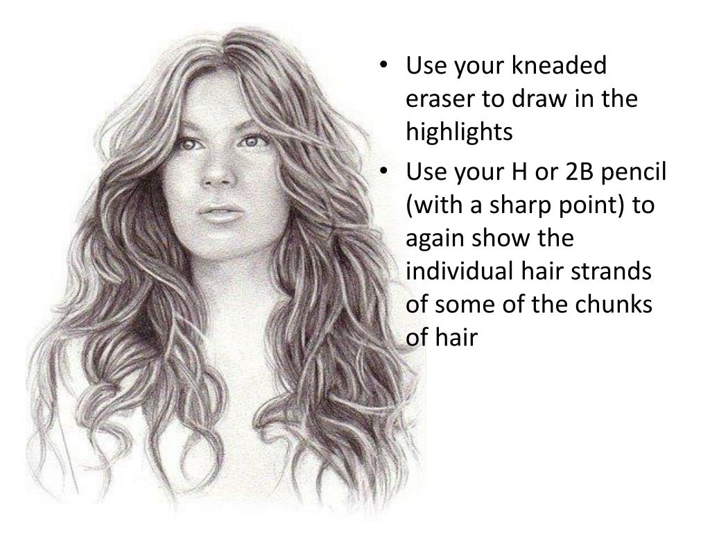PPT - Drawing Hair PowerPoint Presentation, free download - ID:2047501 PPT - Drawing Hair PowerPoint Presentation, free download - ID:2047501