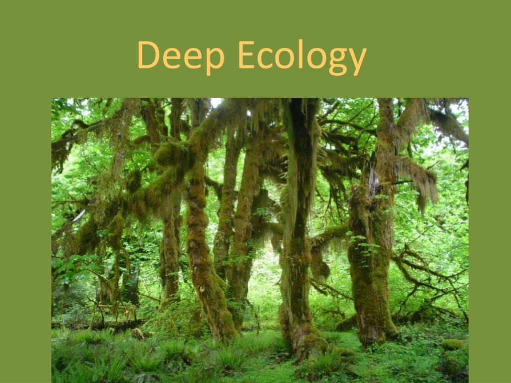 research paper on deep ecology