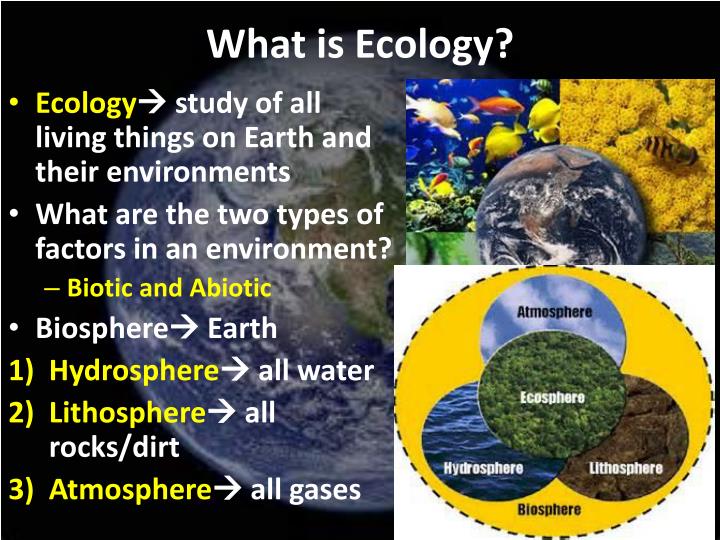 ecology sin and ecology salvation for Ecology and the church: in this scheme, salvation, characterized by both deliverance and blessing, is the process of imaging wholeness and unity (imago dei). ecology sin and ecology salvation for Ecology and the church: in this scheme, salvation, characterized by both deliverance and blessing, is the process of imaging wholeness and unity (imago dei).