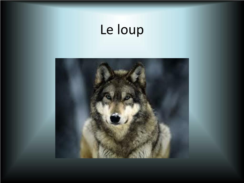 PPT - Les devoirs: Make flashcards with new vocabulary. PowerPoint ...