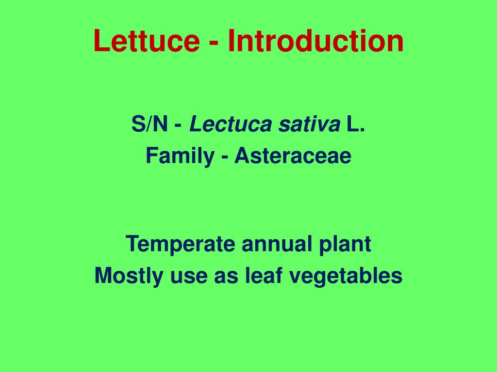 thesis title about lettuce
