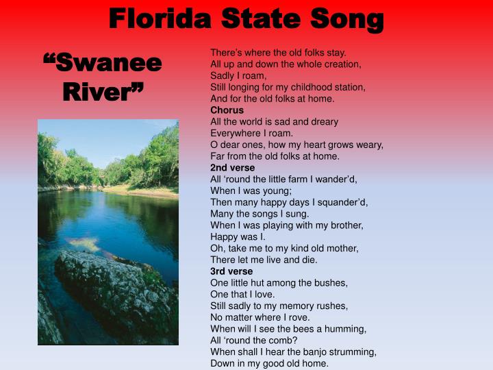 PPT Florida State Symbols PowerPoint Presentation ID2049483
