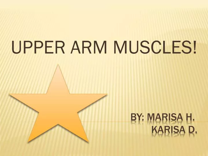 upper arm muscles n.